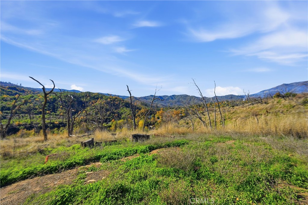 19576 State Highway 175