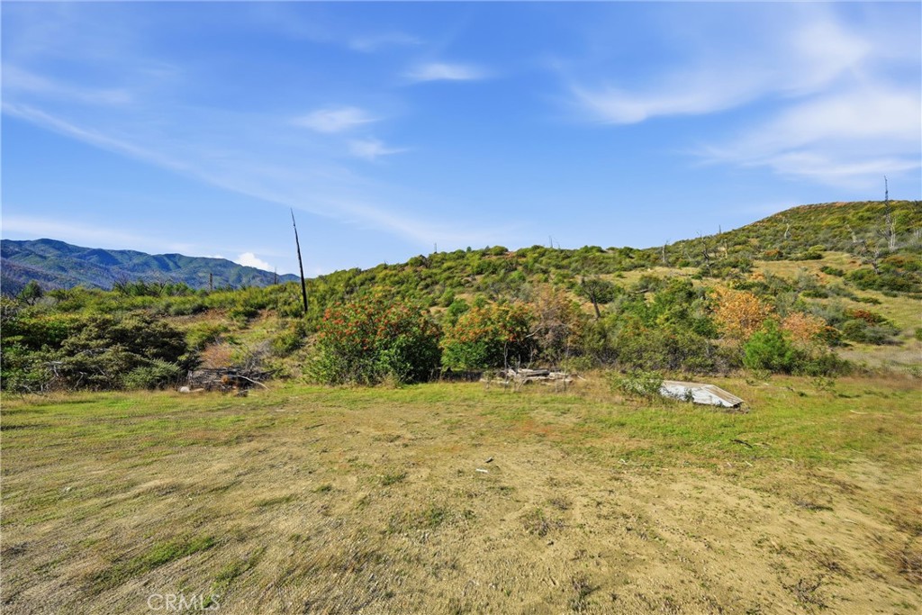 19576 State Highway 175