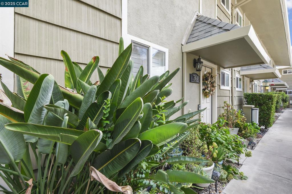 DANVILLE TOWNHMS - Residential