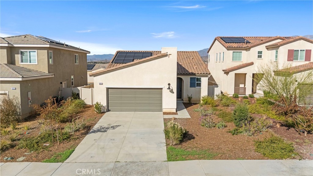 Olivewood - Residential