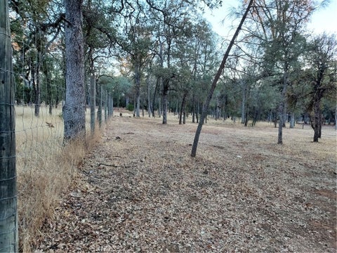 Photo of 16183 42nd AVE, Clearlake, CA 95422 (MLS # LC26222940)