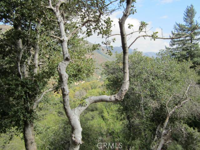0 Burnt Mill Canyon Road