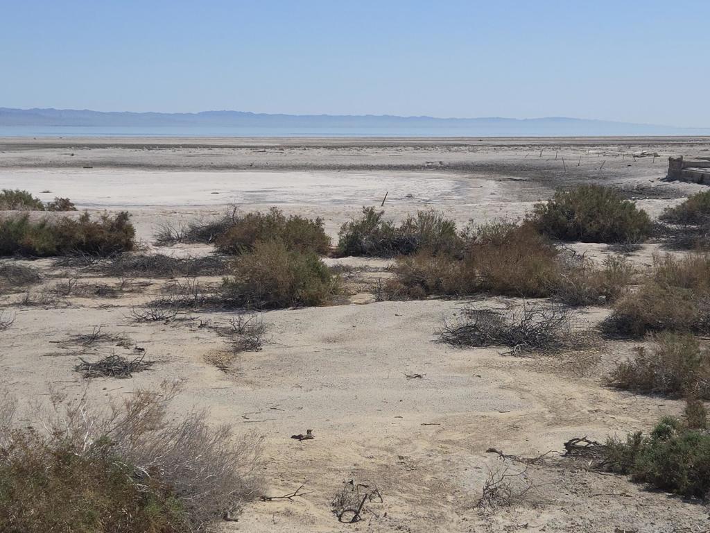 0 Salton Bay Drive