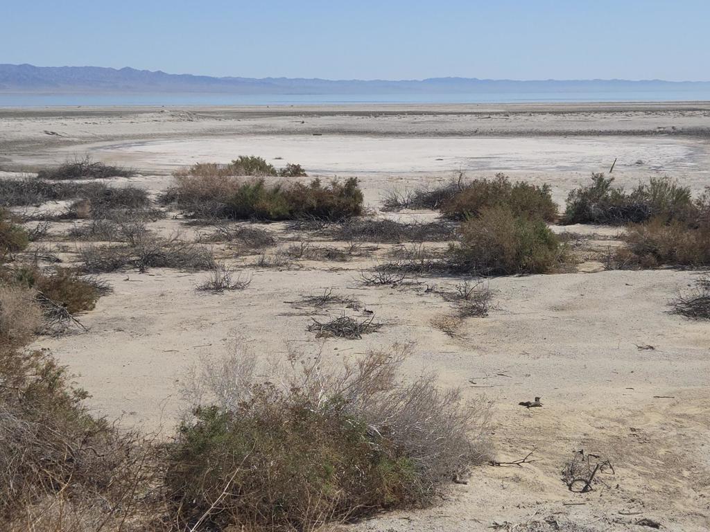 0 Salton Bay Drive