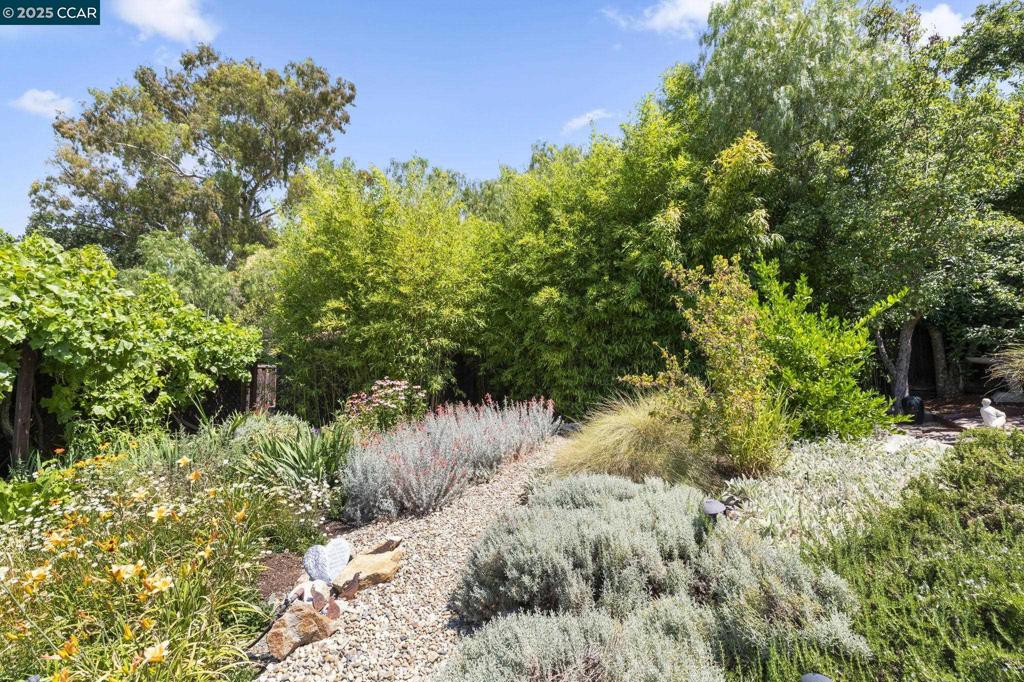 LAS LOMITAS - Residential