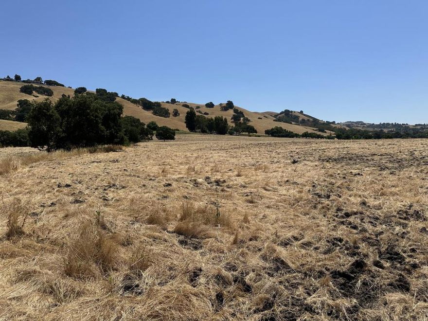 One of three spacious custom lots available below the picturesque eastern foothills of Morgan Hill. The +-3.31 acres of lot 2 are the perfect location for a custom home with potential ADU unit and Jr ADU unit. This lot was previously awarded site approval with the County that has since expired. Site plan, Topo, and engineering work available. Beautiful views of the surrounding hills and valley, and close to all of Morgan Hill's amenities. The other two adjacent lots are also available to purchase if you desire more land or would like to build a private enclave with family members or friends.