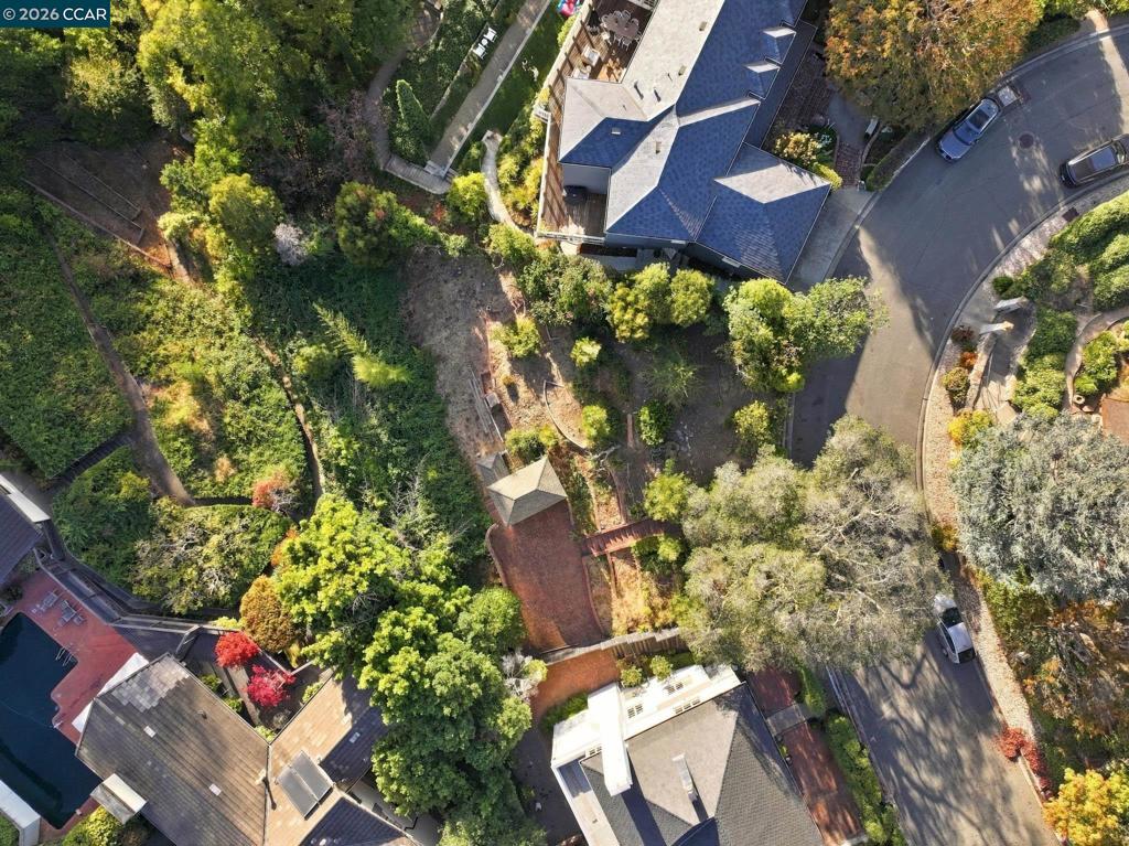 Hazel Ln