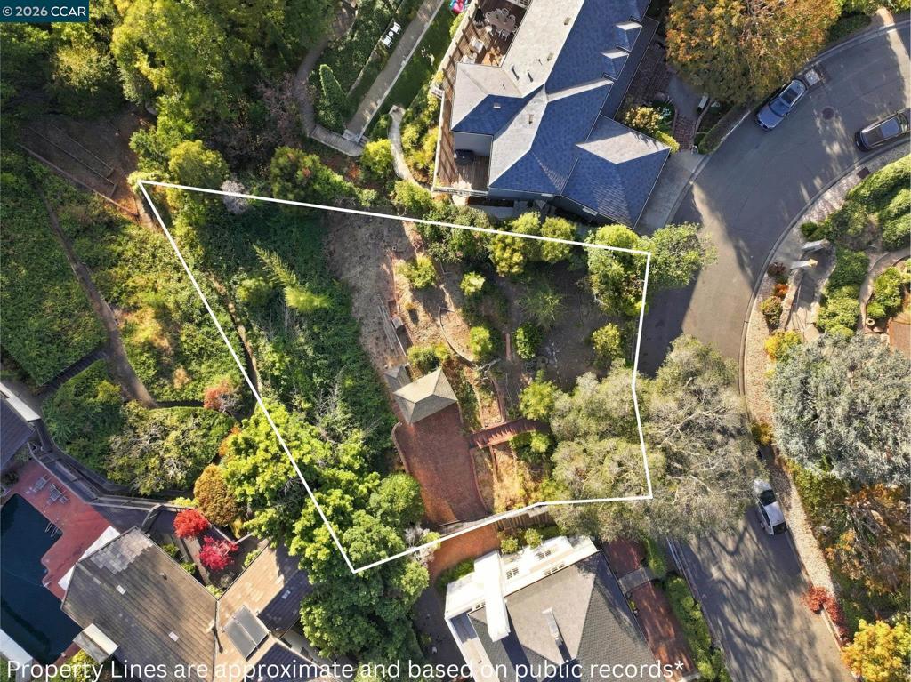 Hazel Ln