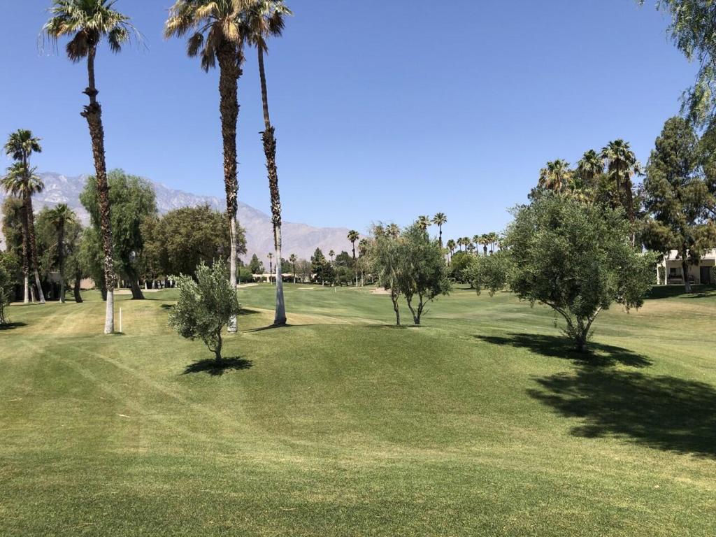 Desert Princess - Residential