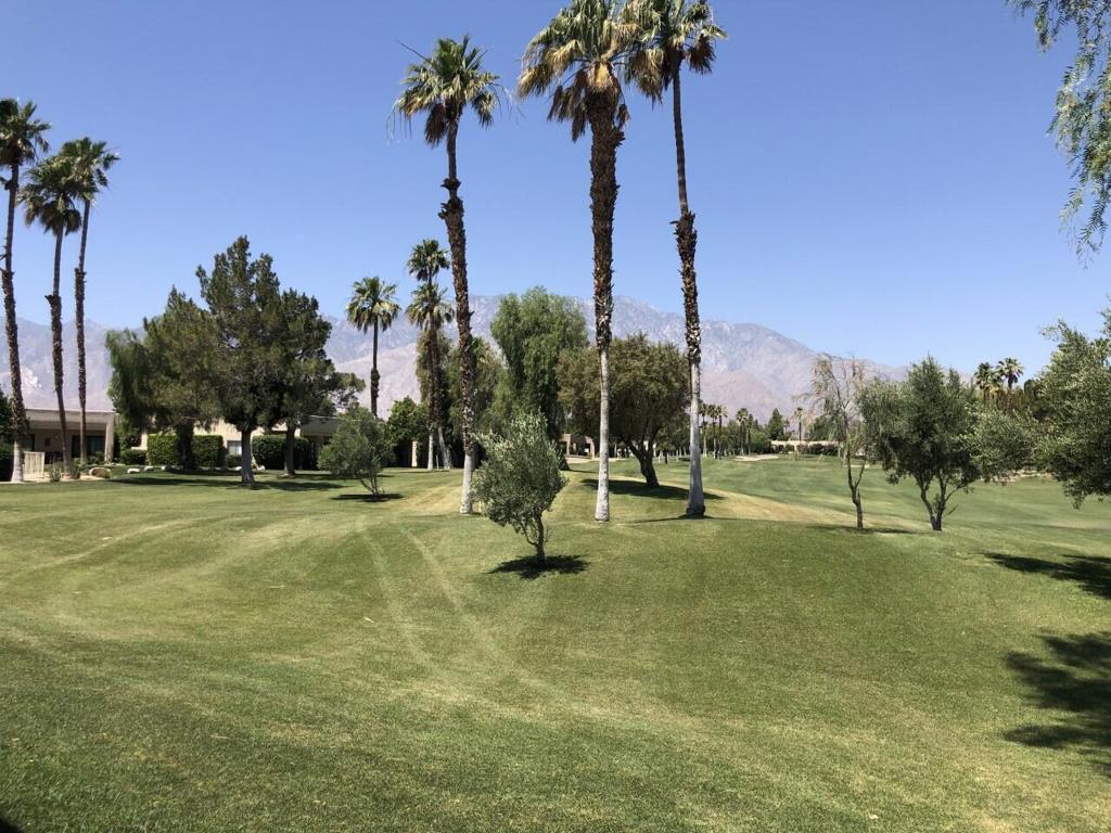 Desert Princess - Residential