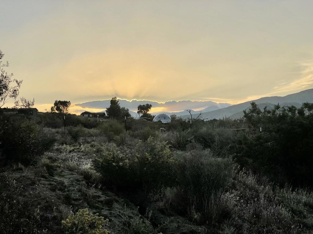 Not Applicable-1 - Land