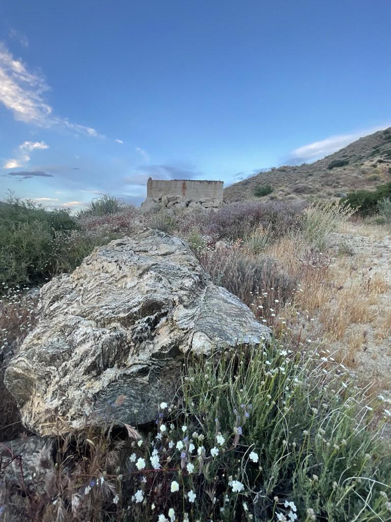 Not Applicable-1 - Land