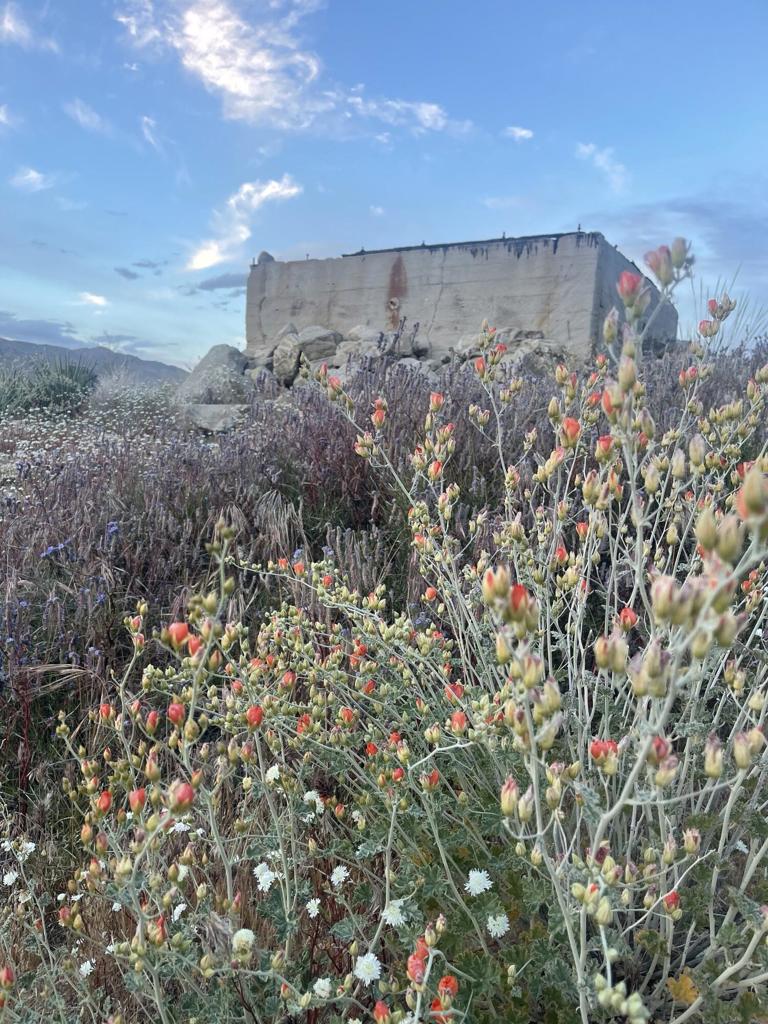 Not Applicable-1 - Land