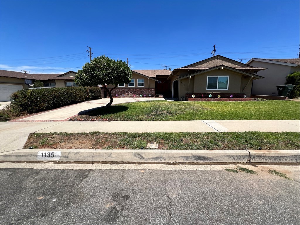 1135 W Coolfield Drive