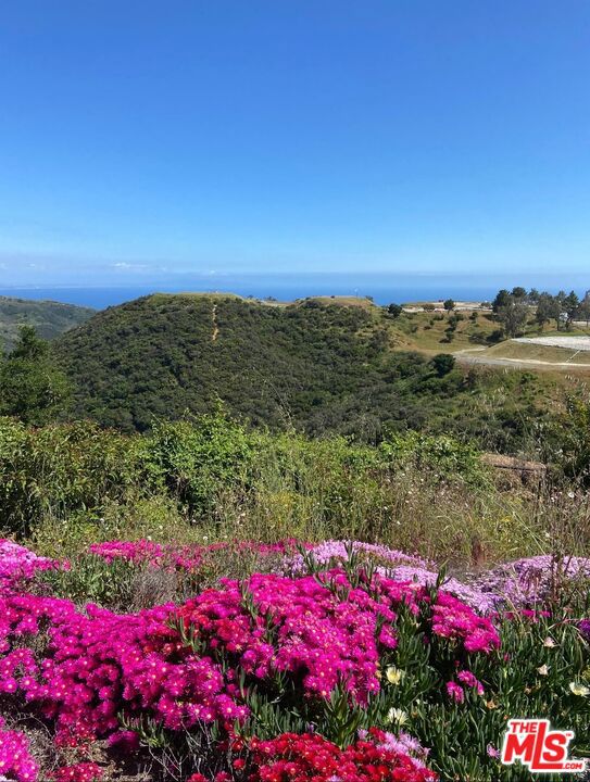 Beautiful ocean views from this Palisades Fire Rebuild opportunity. Previous home was 2,488 sq. ft., two stories, 3 bedrooms, 3 bathrooms with a nice flat front yard looking out to the ocean. Fire rebuild current expediting is allowing an additional 10% of the overall square footage. Amazing opportunity to be at the end of a quiet cul-de-sac and close proximity to Malibu, Calabasas and Santa Monica.