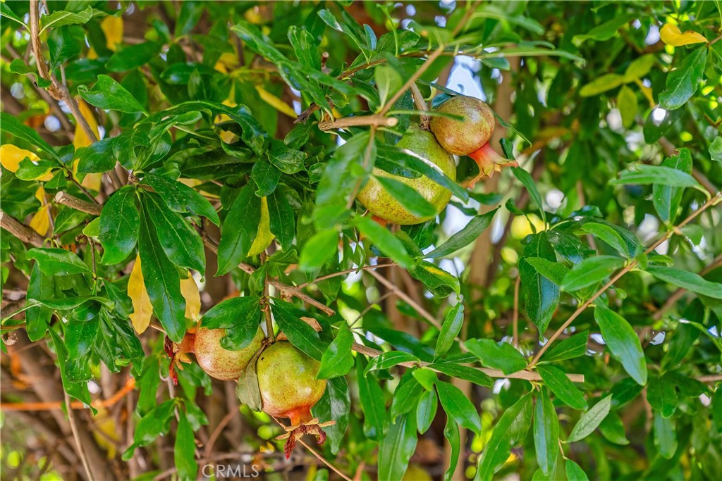 Park Paseo (PS) - Residential Lease