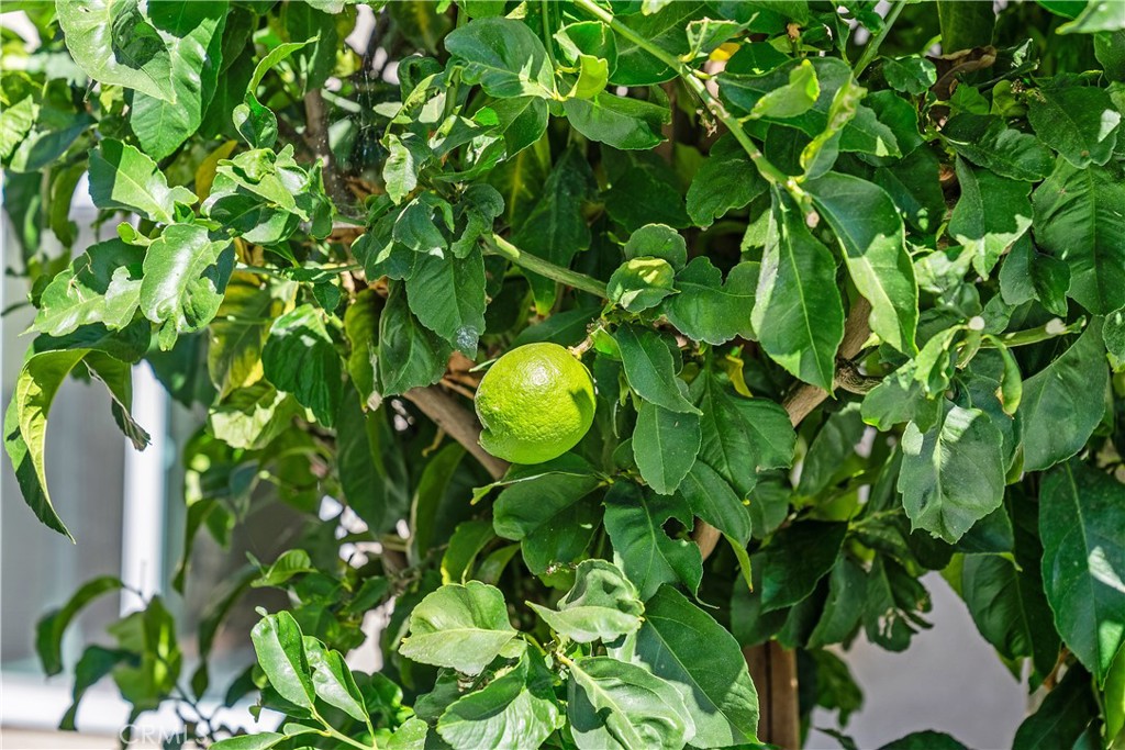 Park Paseo (PS) - Residential Lease