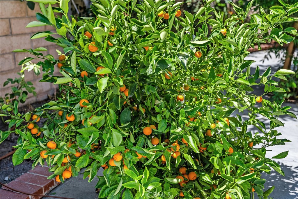 Park Paseo (PS) - Residential Lease