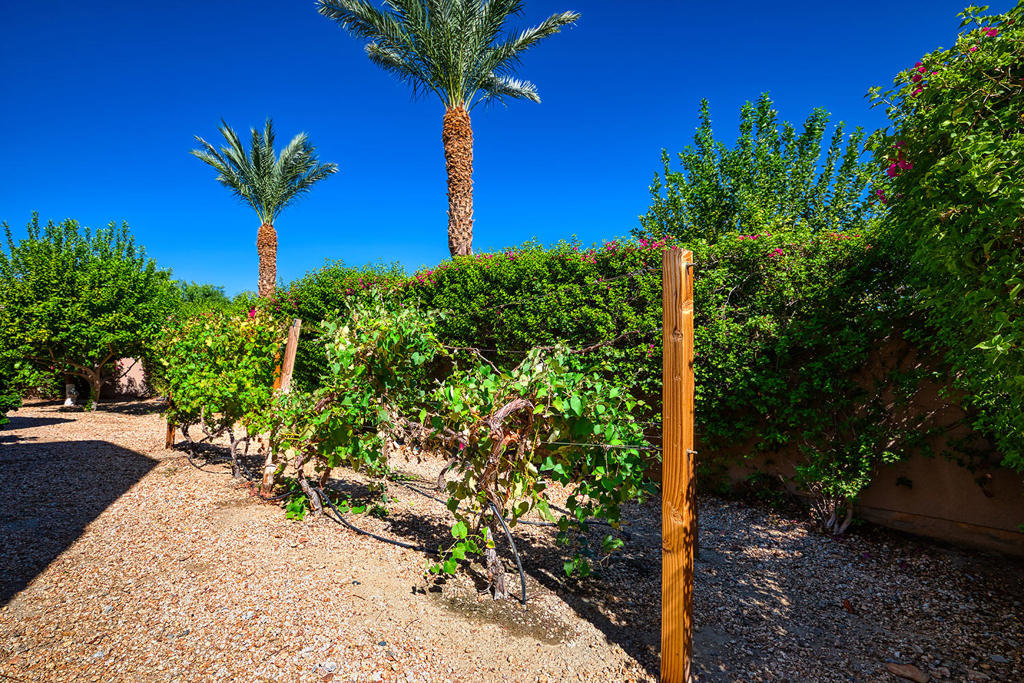 The Estancias Rancho LQ - Residential