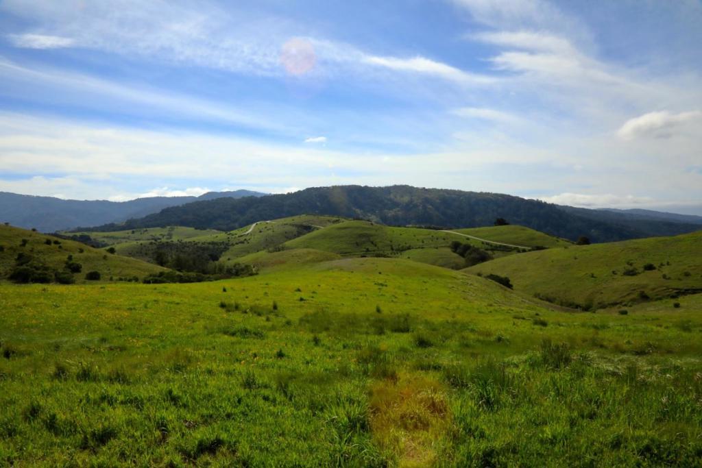 1 Peñon Peak Trail (Lot 217)