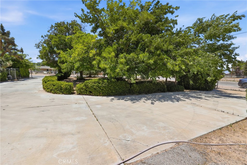 8585 Hickory