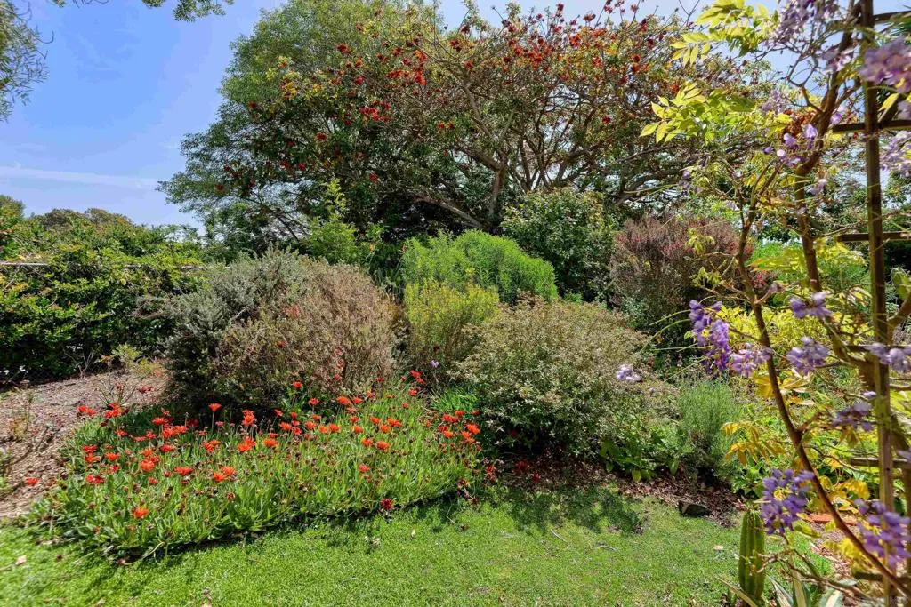 Del Mar, California 92014, United States, 3 Bedrooms Bedrooms, ,2 BathroomsBathrooms,Residential,Active,191028