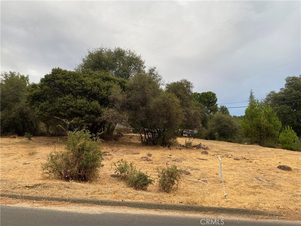 16672 Greenridge