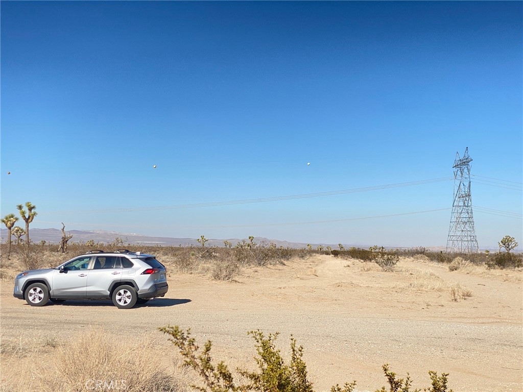 0 Cassia / Richardson