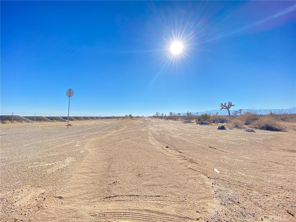 0 Cassia / Richardson