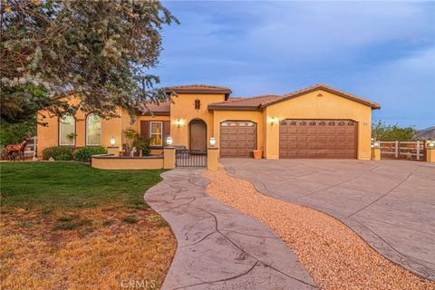 Photo of 33442 Desert Road, Acton, CA 93510 (MLS # SR26058887)