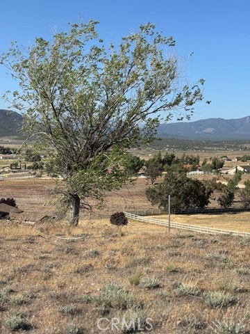 497 Rambling Lane