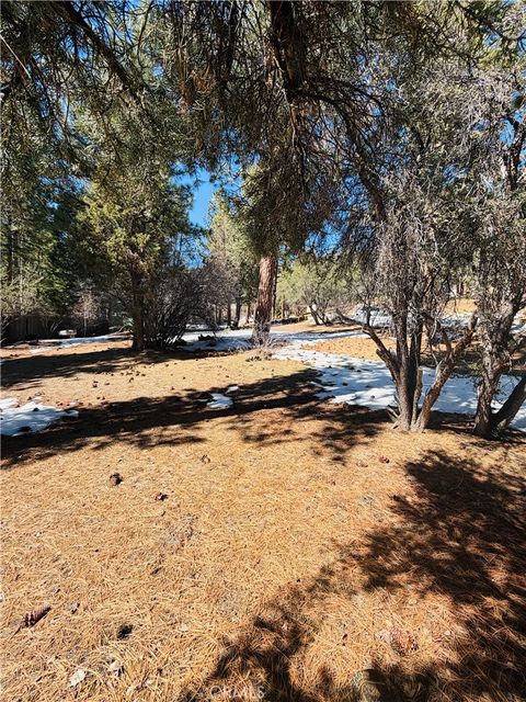 808 Antelope Mountain Big Bear City CA 92314