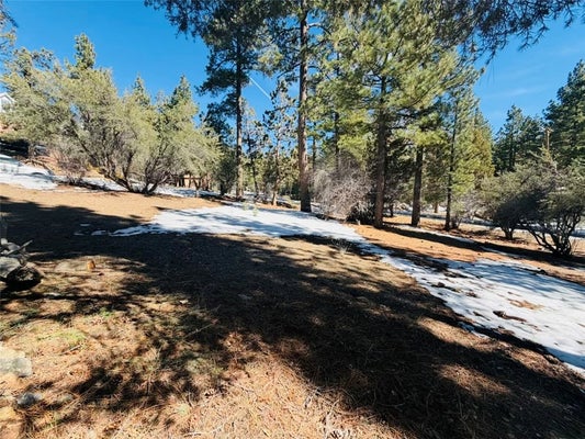 808 ANTELOPE MOUNTAIN DR, BIG BEAR CITY, CA 92314 - Image 94a8a8f3d31d868d5af0208657e666de/3722014506