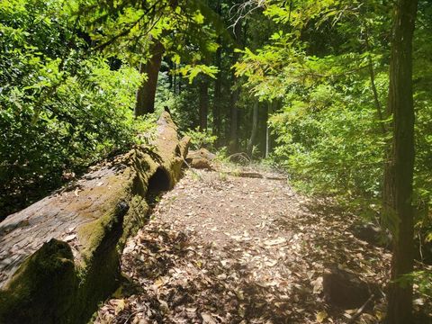 Photo of 0 Lost Valley Road, Los Gatos, CA 95033 (MLS # ML82027788)