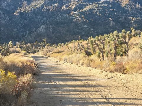 Photo of 300 E Z12 Street, Llano, CA 93544 (MLS # GD25214456) Photo of 300 E Z12 Street, Llano, CA 93544 (MLS # GD25214456)