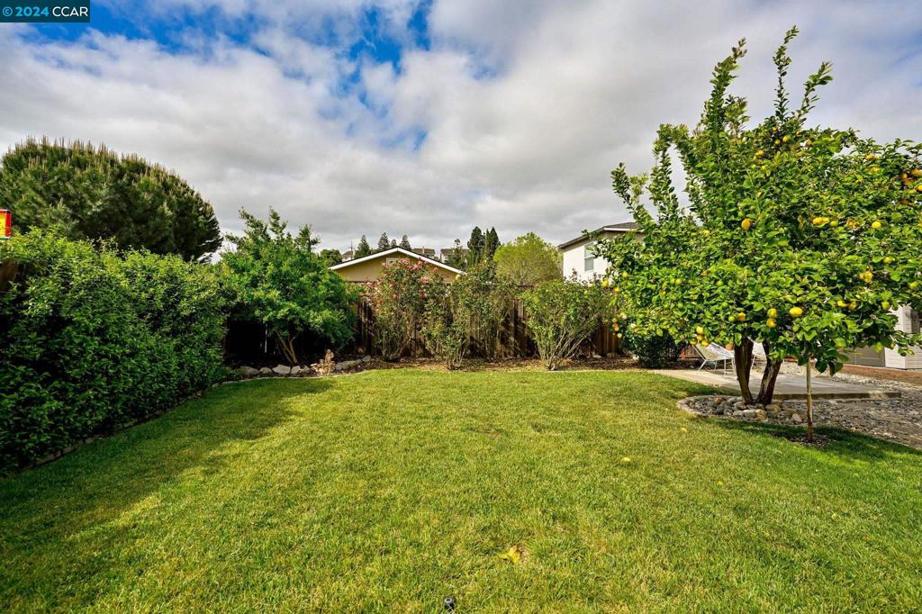 CLAYTON VALLEY - Residential