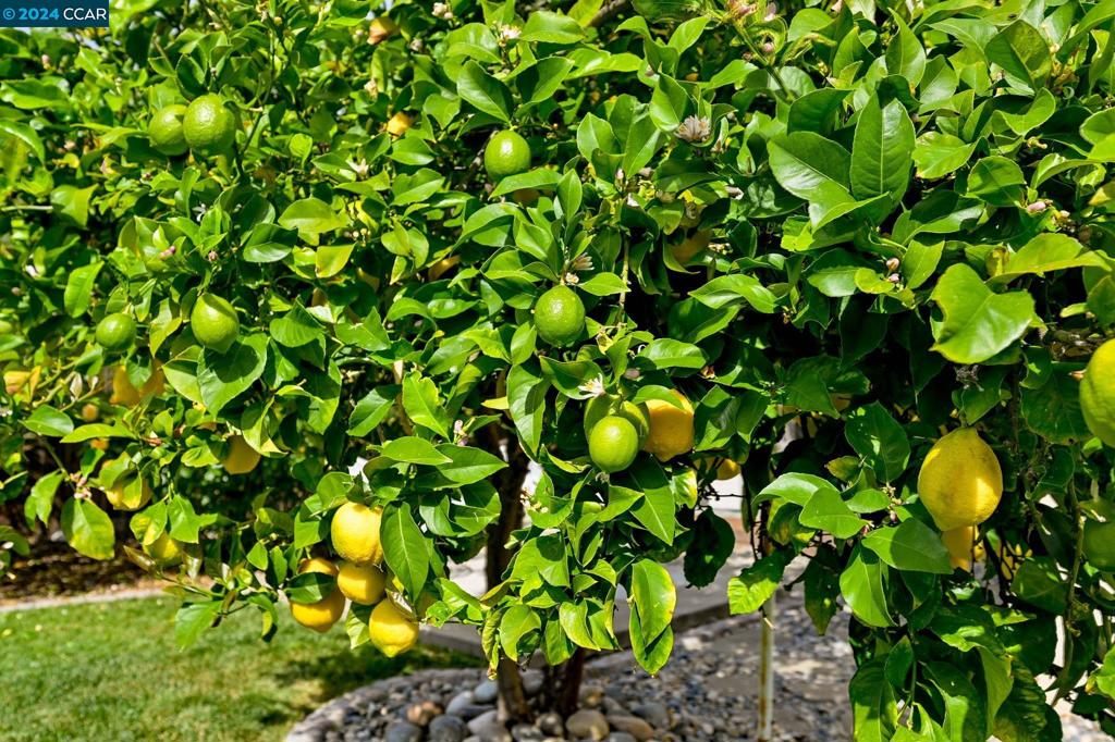 CLAYTON VALLEY - Residential