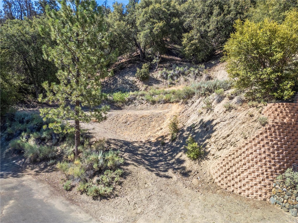 15604 San Moritz Drive