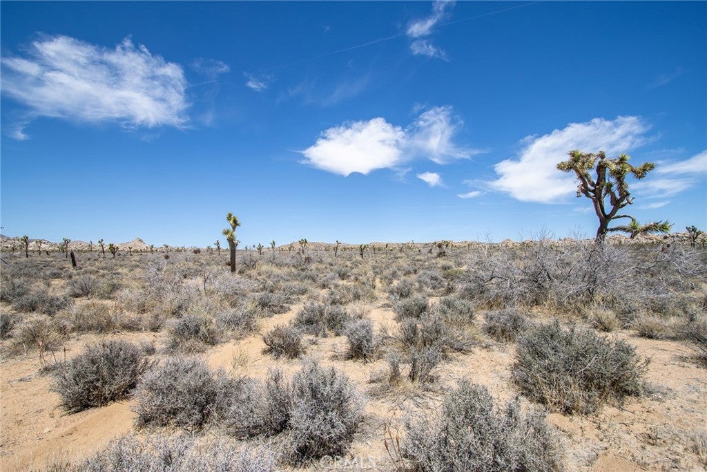 52552 Gamma Gulch