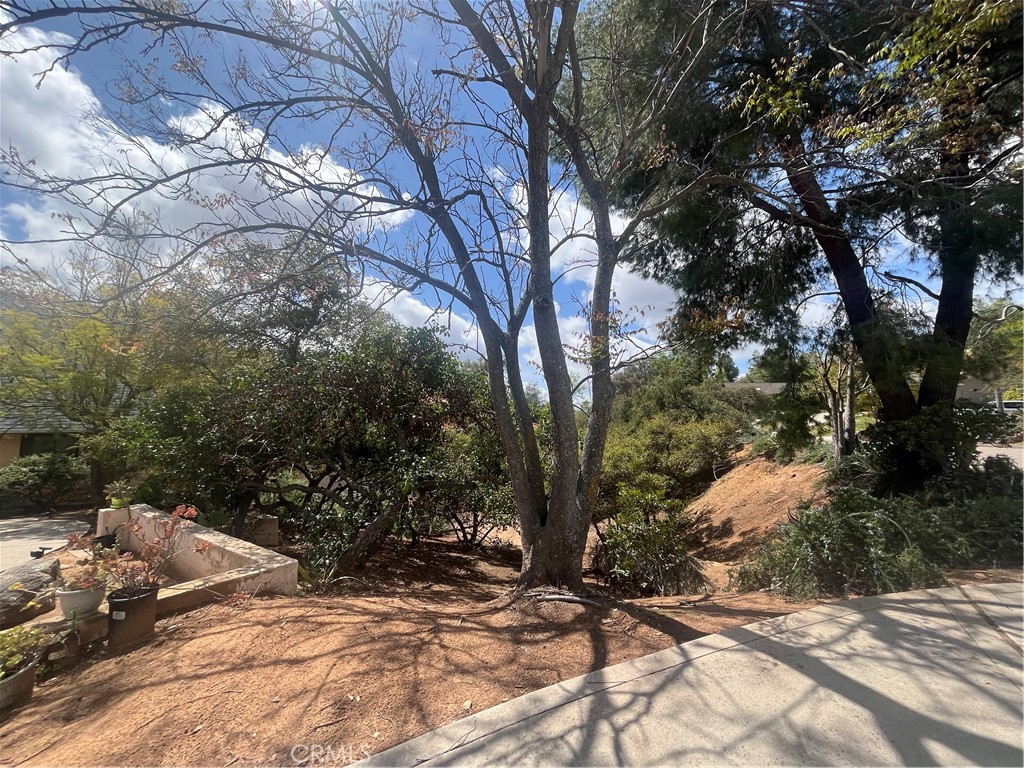 16741 Georgios Way