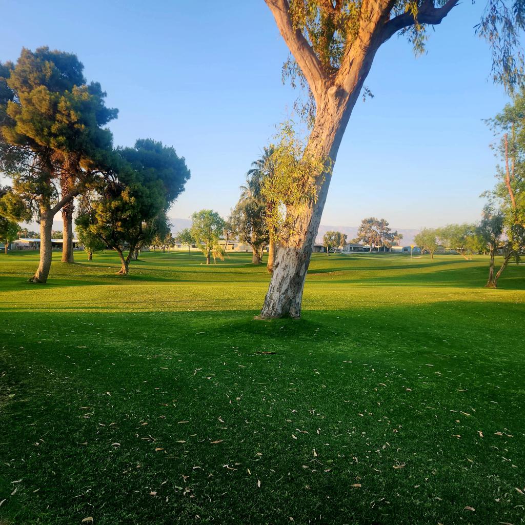 Palm Desert Greens - Manufactured In Park