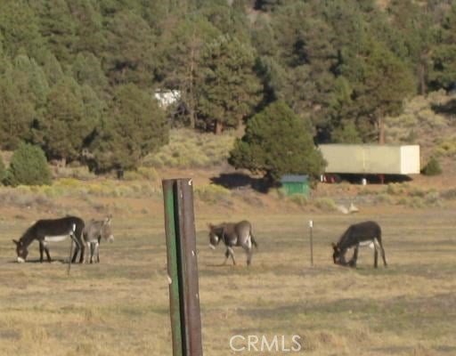 2151 Erwin Ranch Road