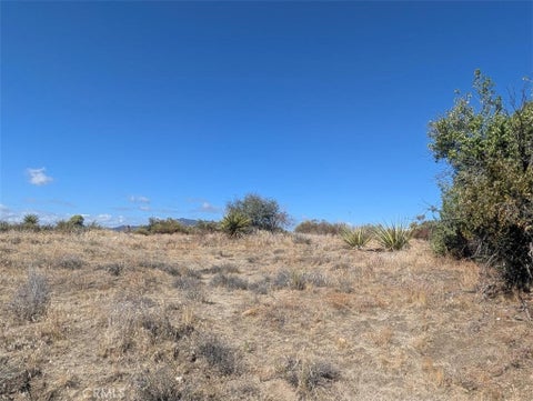 Photo of 0 Old Forest Road, Anza, CA 92539 (MLS # SW26224735)