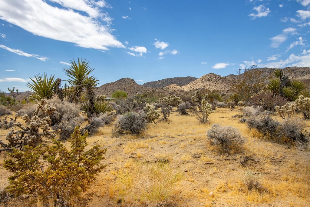 207 Onaga Trail