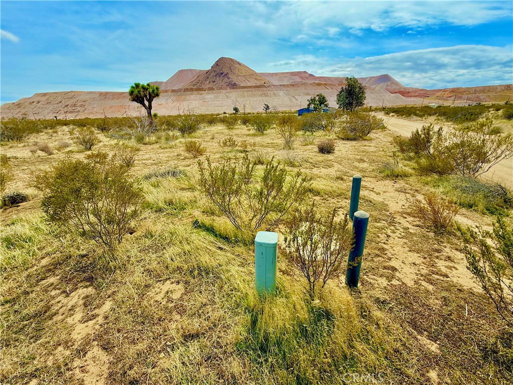 2 acre lot with homes nearby and Edison Electrical supply by property. Conveniently located near main road and about 10-15 minutes north of Rosamond. Access via a dirt road. Solar and windmills nearby. Near Silver Queen Rd and near 14 Fwy.
