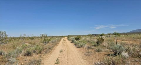 Photo of 0 175th St E W10, Llano, CA 93591 (MLS # SR26085138)