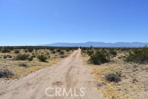 20.38 acres of agricultural land running between Ave I and Lancaster Blvd on 225th St E. APN 3342-021-015. Just a half mile north of paved Ave J.
