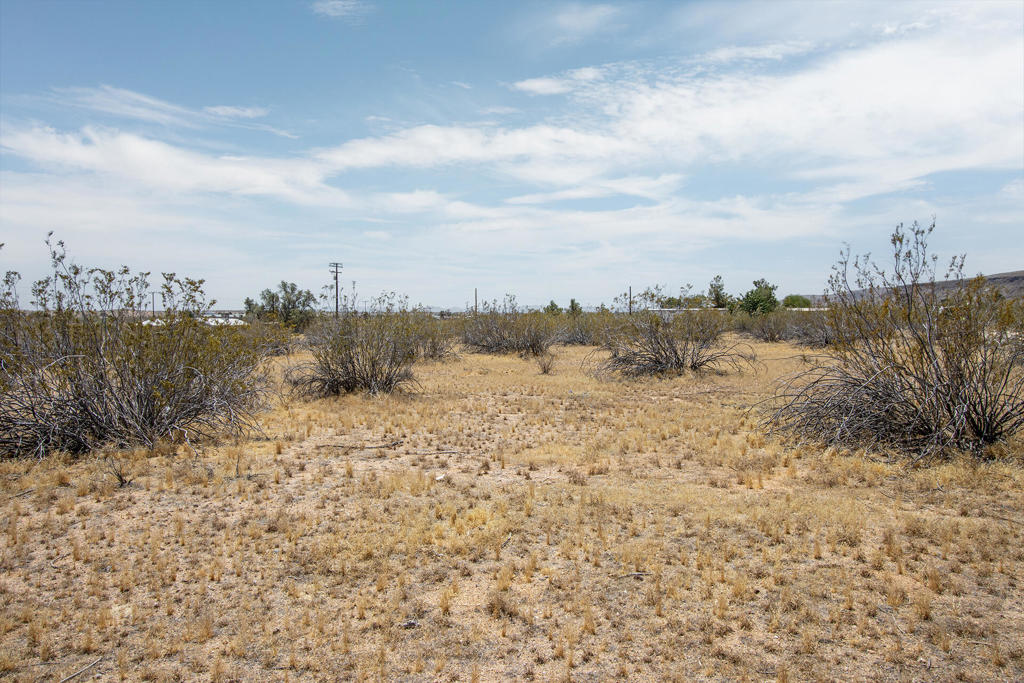 Not Applicable-1 - Land
