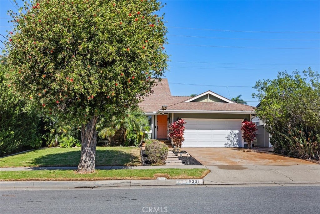 9301 Neolani