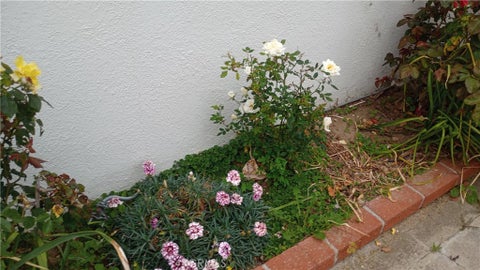 Tiny photo for 37 Hastings Avenue, Ventura, CA 93003 (MLS # SR26075953)